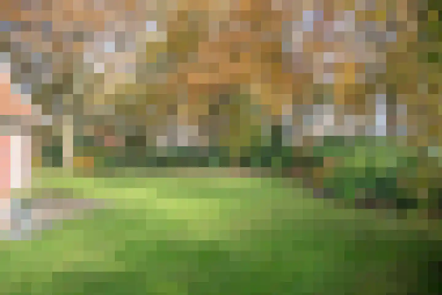 Boomsweg 1 Z130 Hoge Hexel thumbnail 34