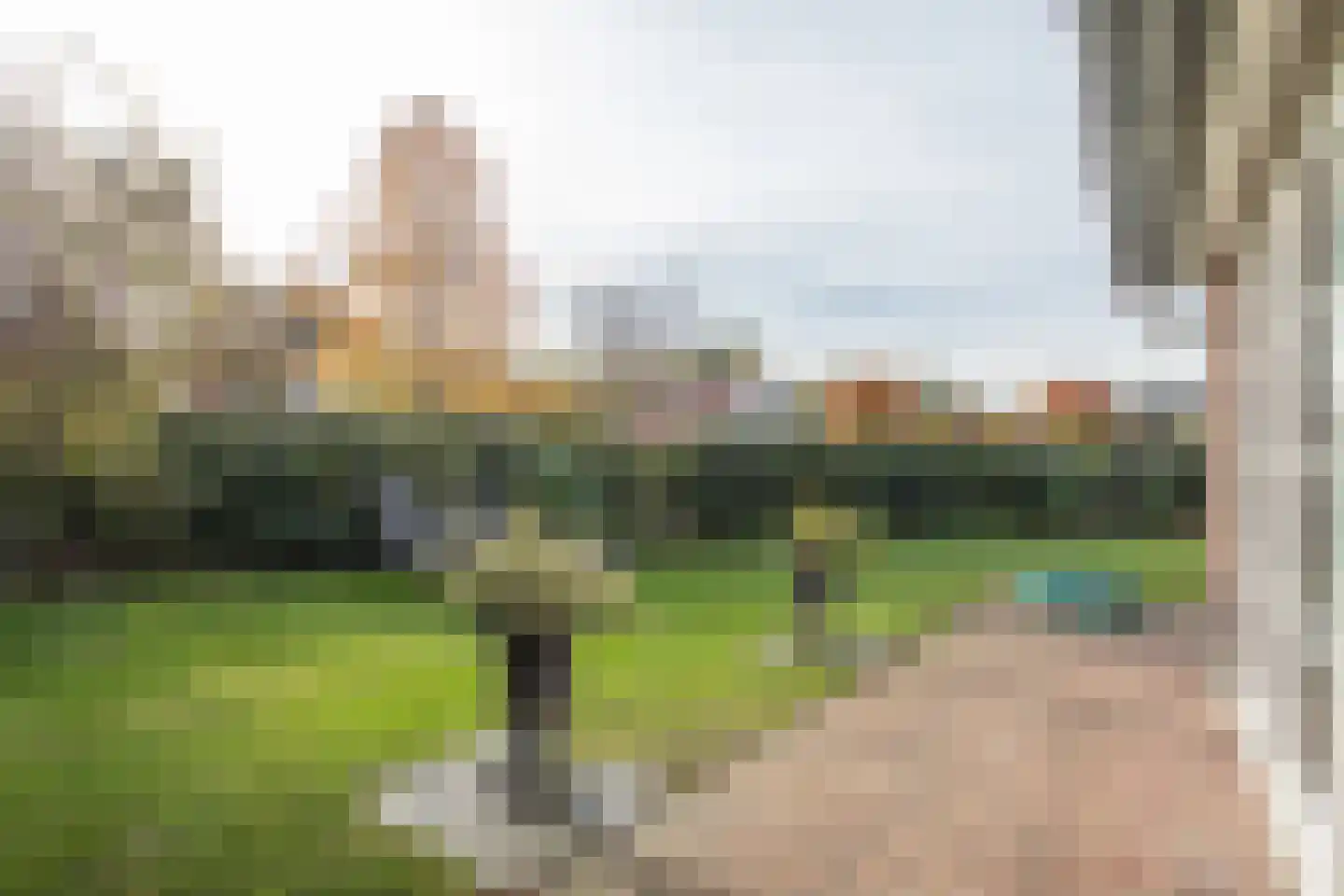 Boomsweg 1 Z130 Hoge Hexel thumbnail 35