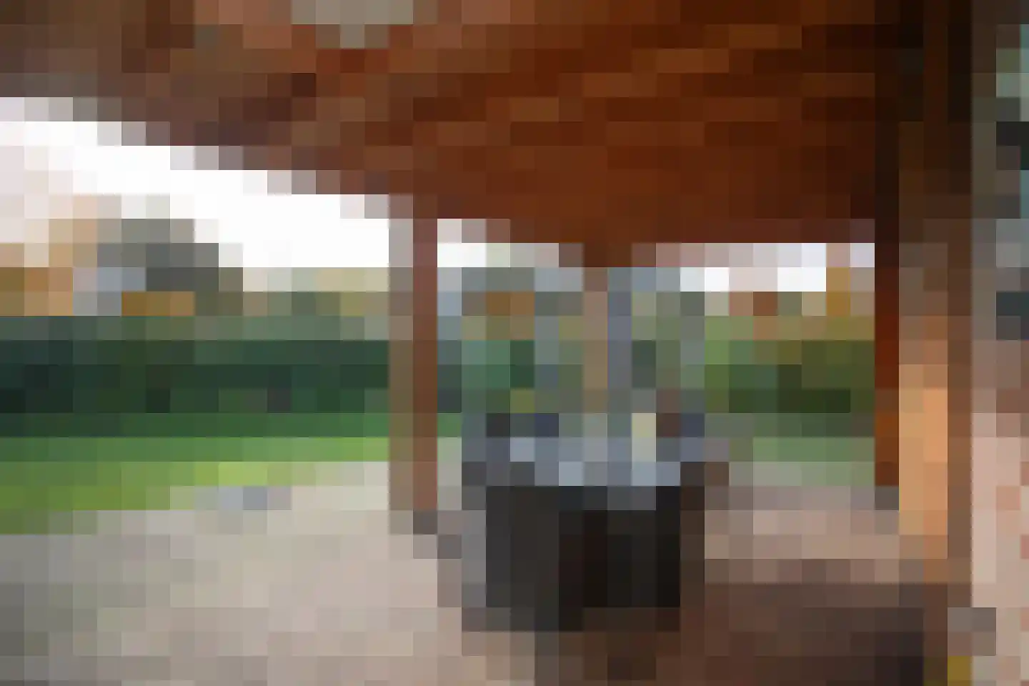 Boomsweg 1 Z130 Hoge Hexel thumbnail 36