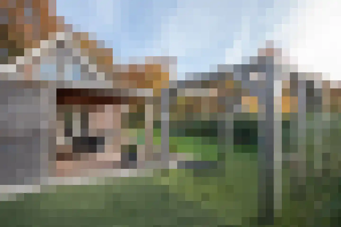Boomsweg 1 Z130 Hoge Hexel thumbnail 40