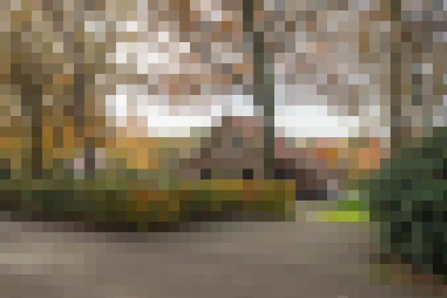 Boomsweg 1 Z130 Hoge Hexel thumbnail 42