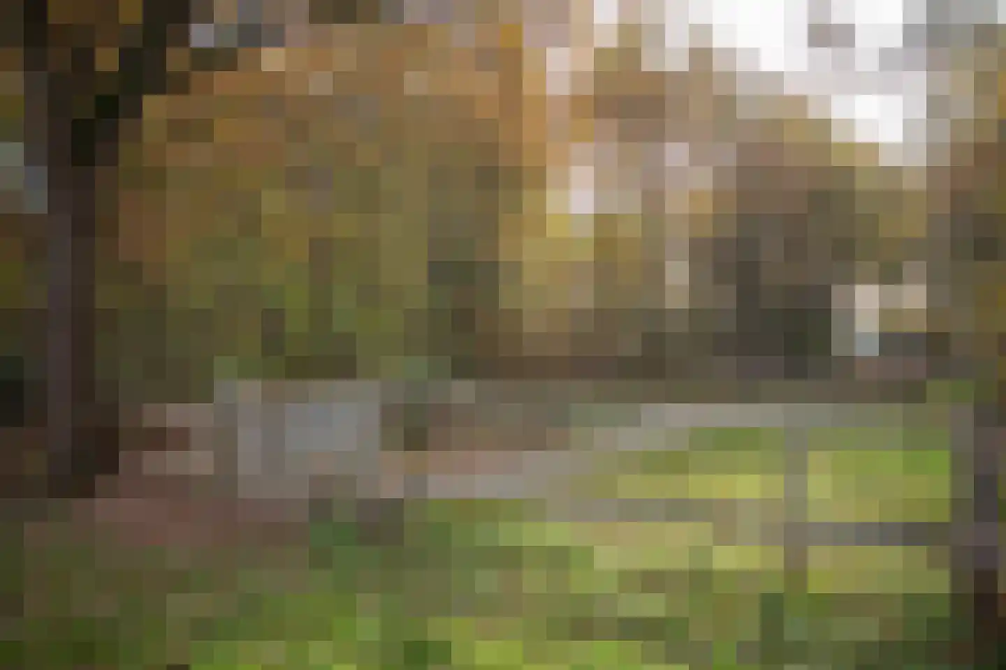 Boomsweg 1 Z130 Hoge Hexel thumbnail 44