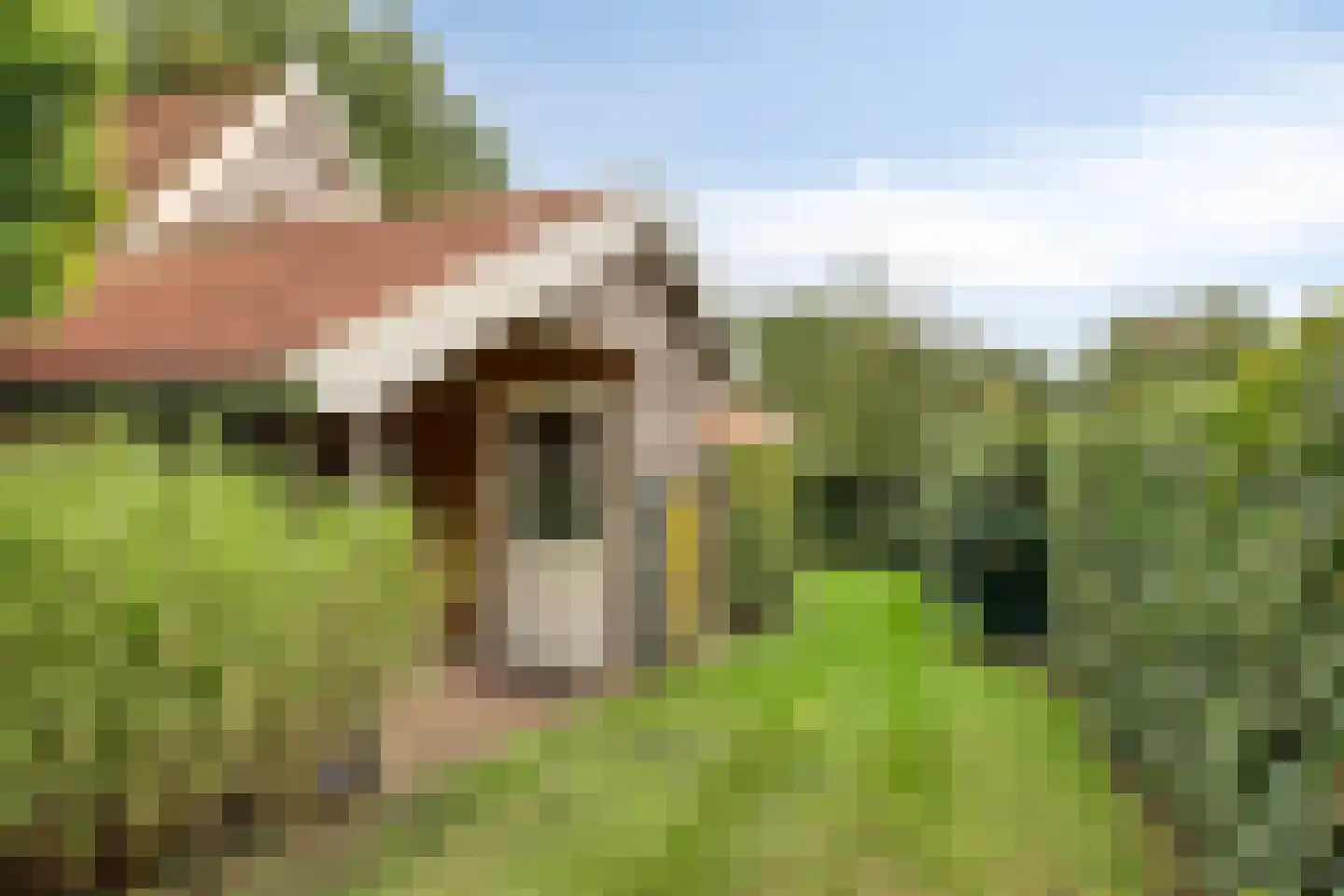 Boomsweg 1 Z131 Hoge Hexel thumbnail 24