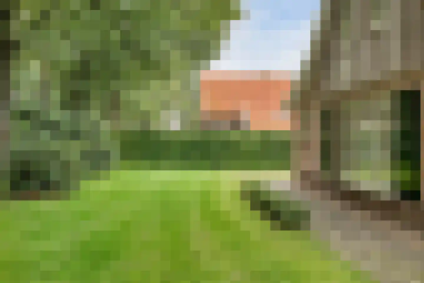 Boomsweg 1 Z131 Hoge Hexel thumbnail 27