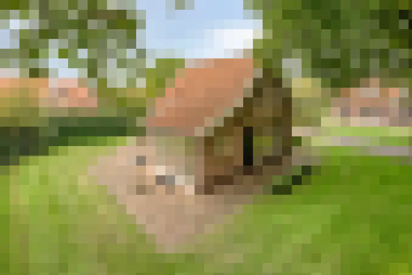 Boomsweg 1 Z131 Hoge Hexel thumbnail 29