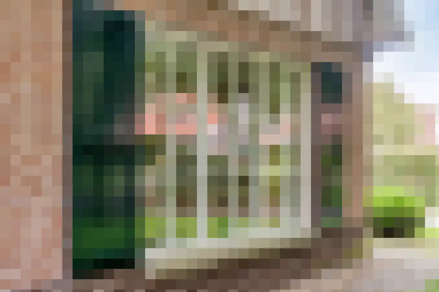 Boomsweg 1 Z131 Hoge Hexel thumbnail 30