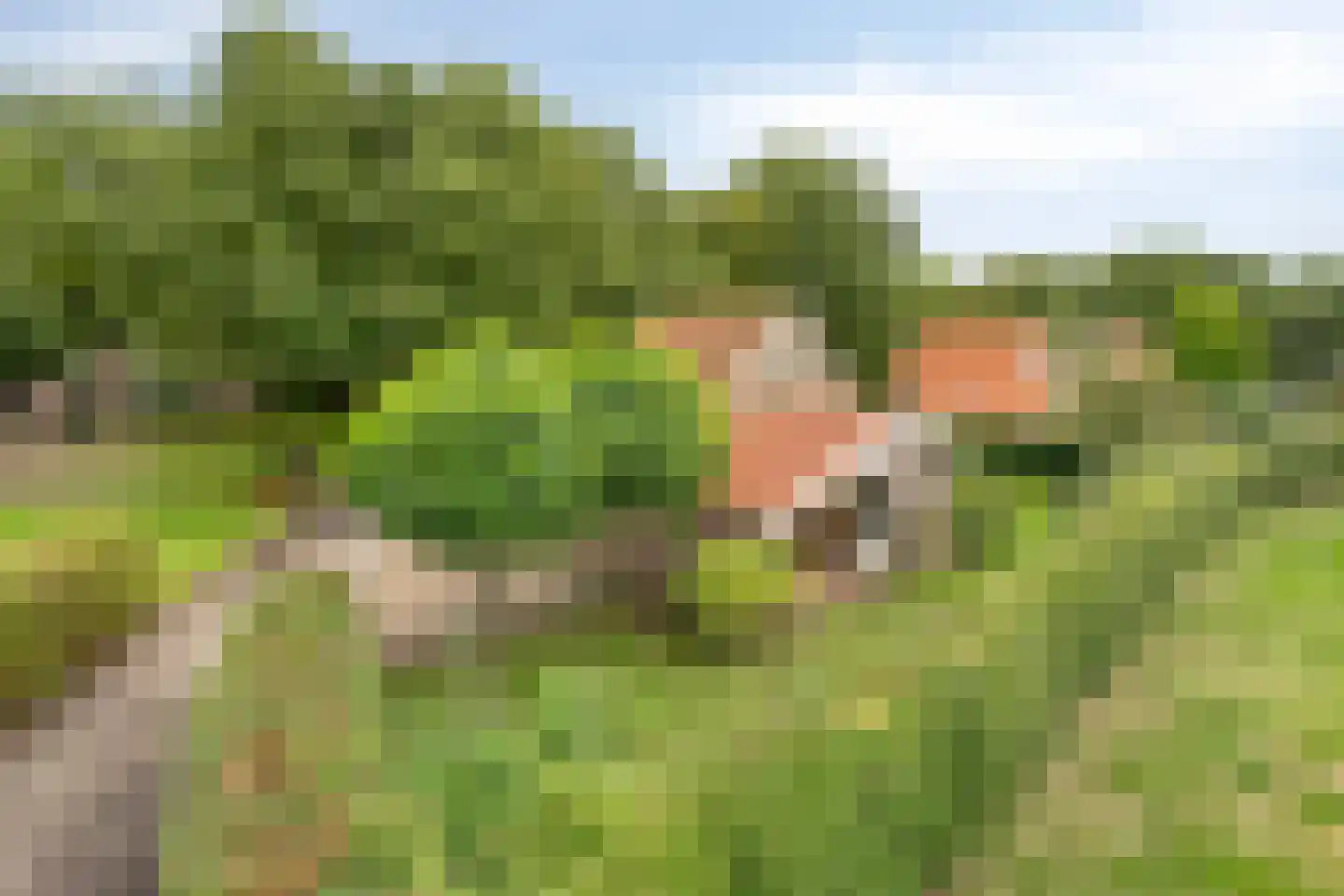 Boomsweg 1 Z131 Hoge Hexel thumbnail 31