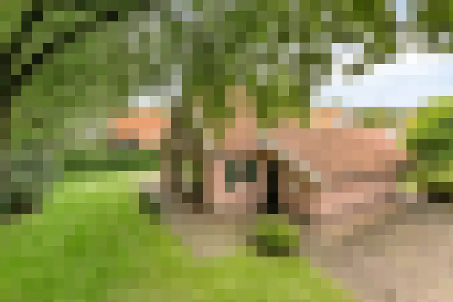 Boomsweg 1 Z131 Hoge Hexel thumbnail 33