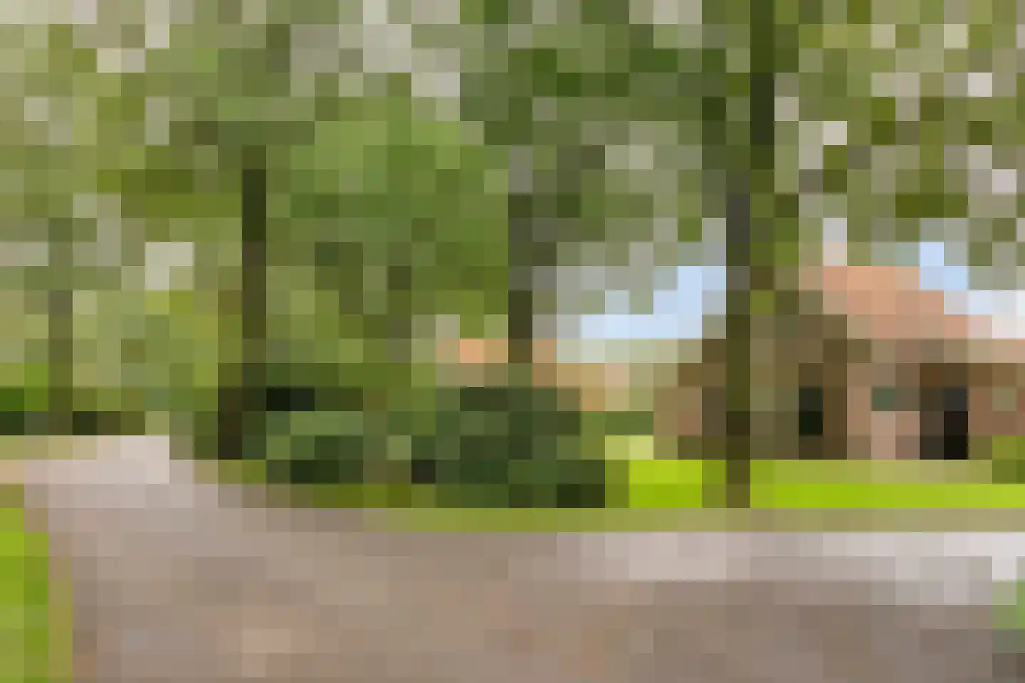 Boomsweg 1 Z131 Hoge Hexel thumbnail 34