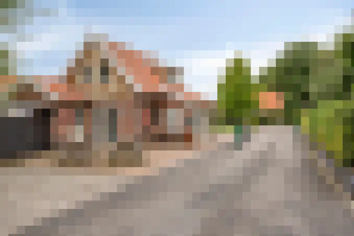 Boomsweg 1 Z131 Hoge Hexel thumbnail 35