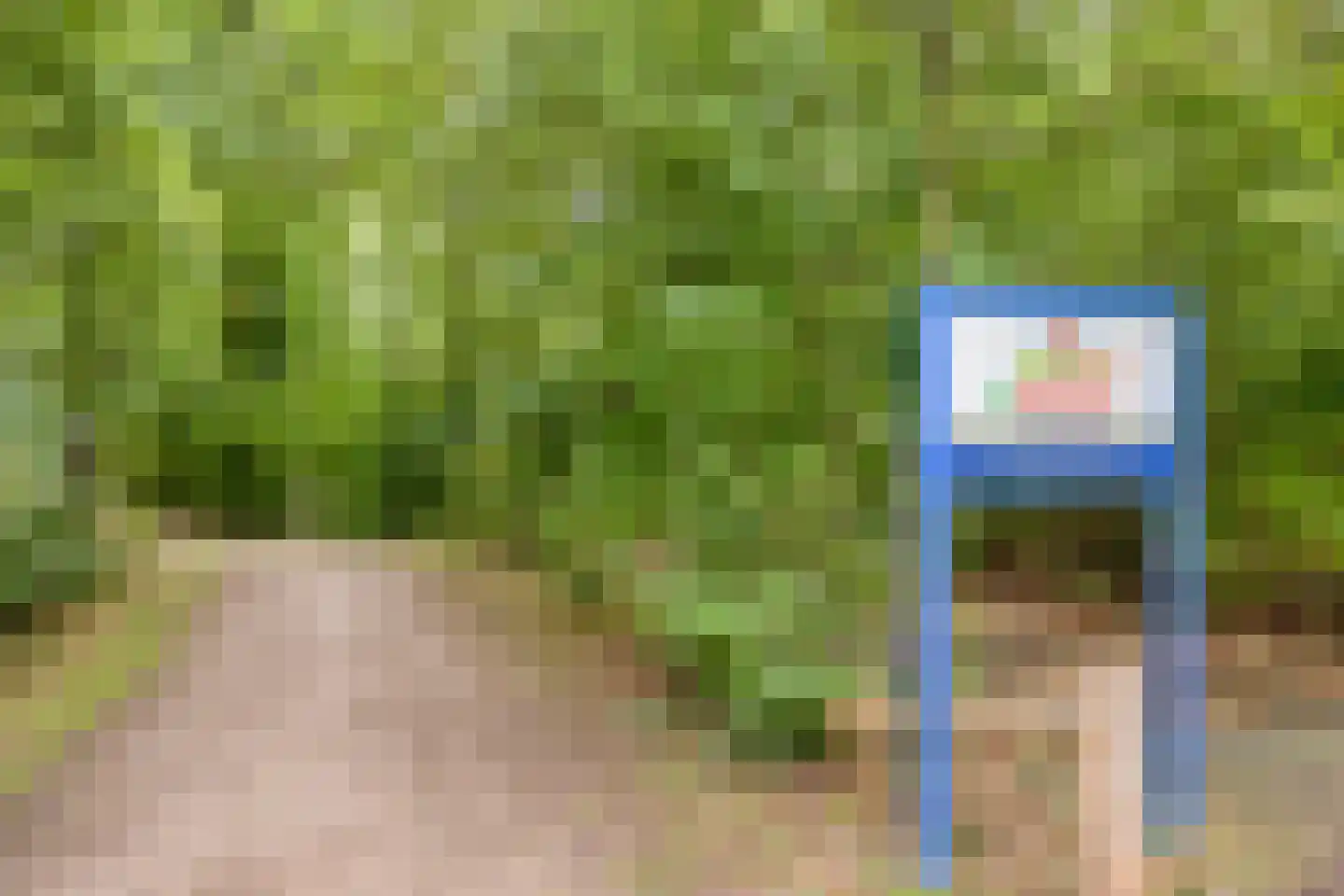 Boomsweg 1 Z131 Hoge Hexel thumbnail 36