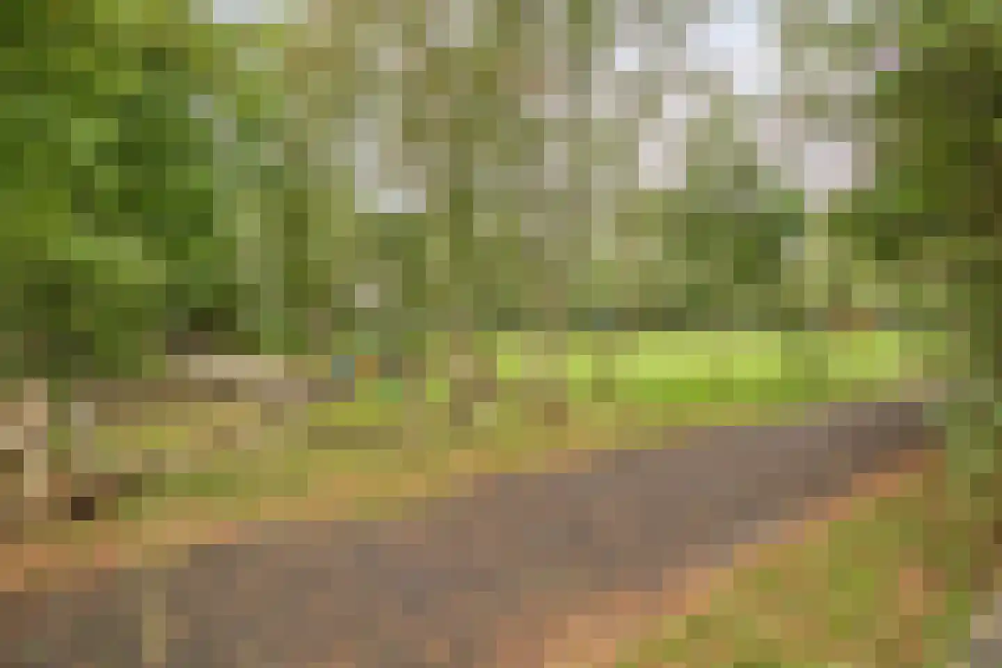 Boomsweg 1 Z131 Hoge Hexel thumbnail 38