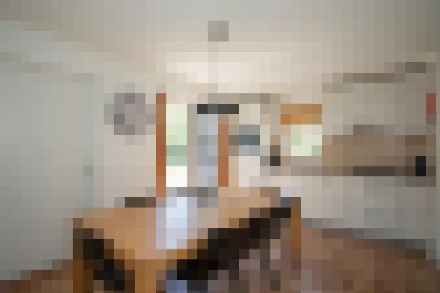 Boomsweg 1 ZH59 Hoge Hexel thumbnail 18