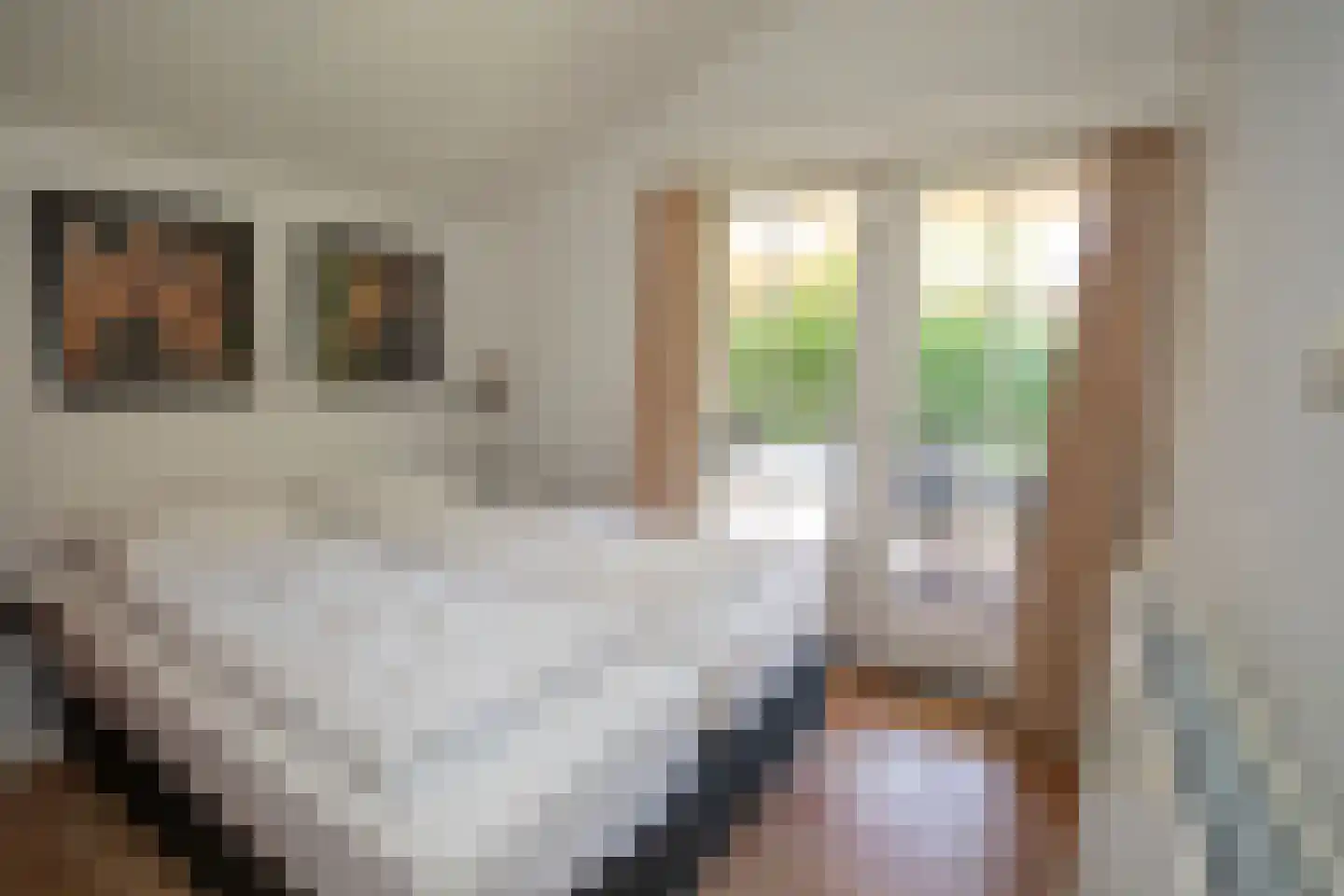 Boomsweg 1 ZH59 Hoge Hexel thumbnail 28