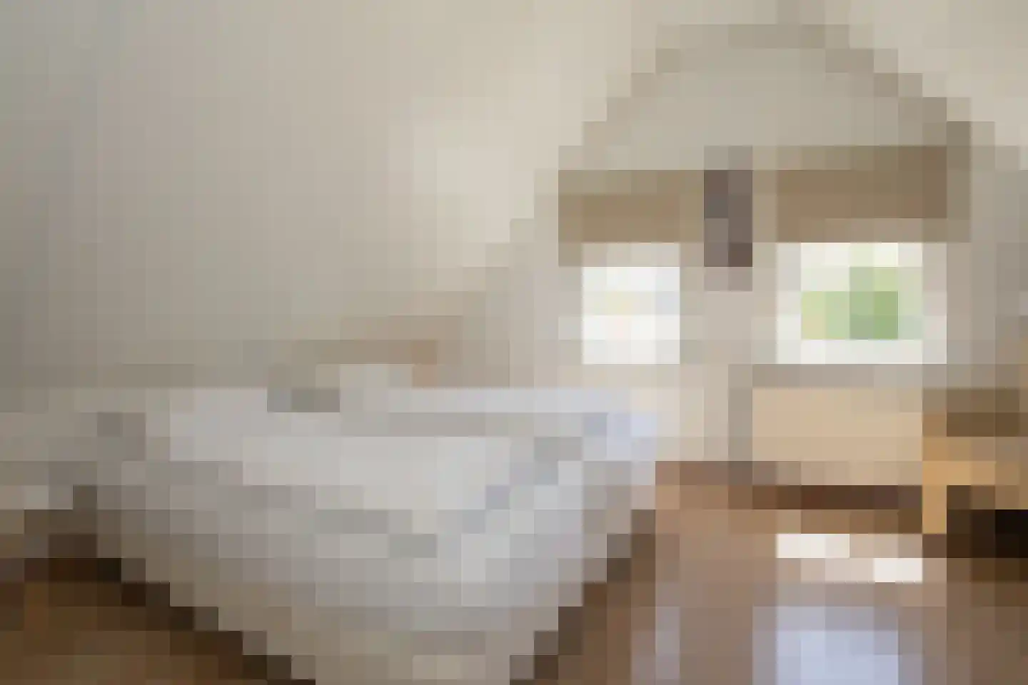 Boomsweg 1 ZH59 Hoge Hexel thumbnail 33