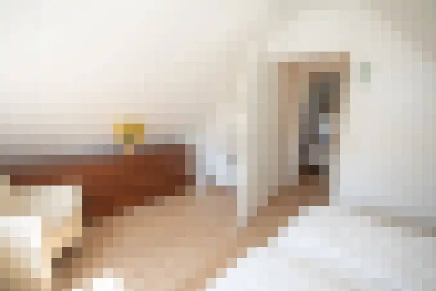 Boomsweg 1 ZH59 Hoge Hexel thumbnail 34