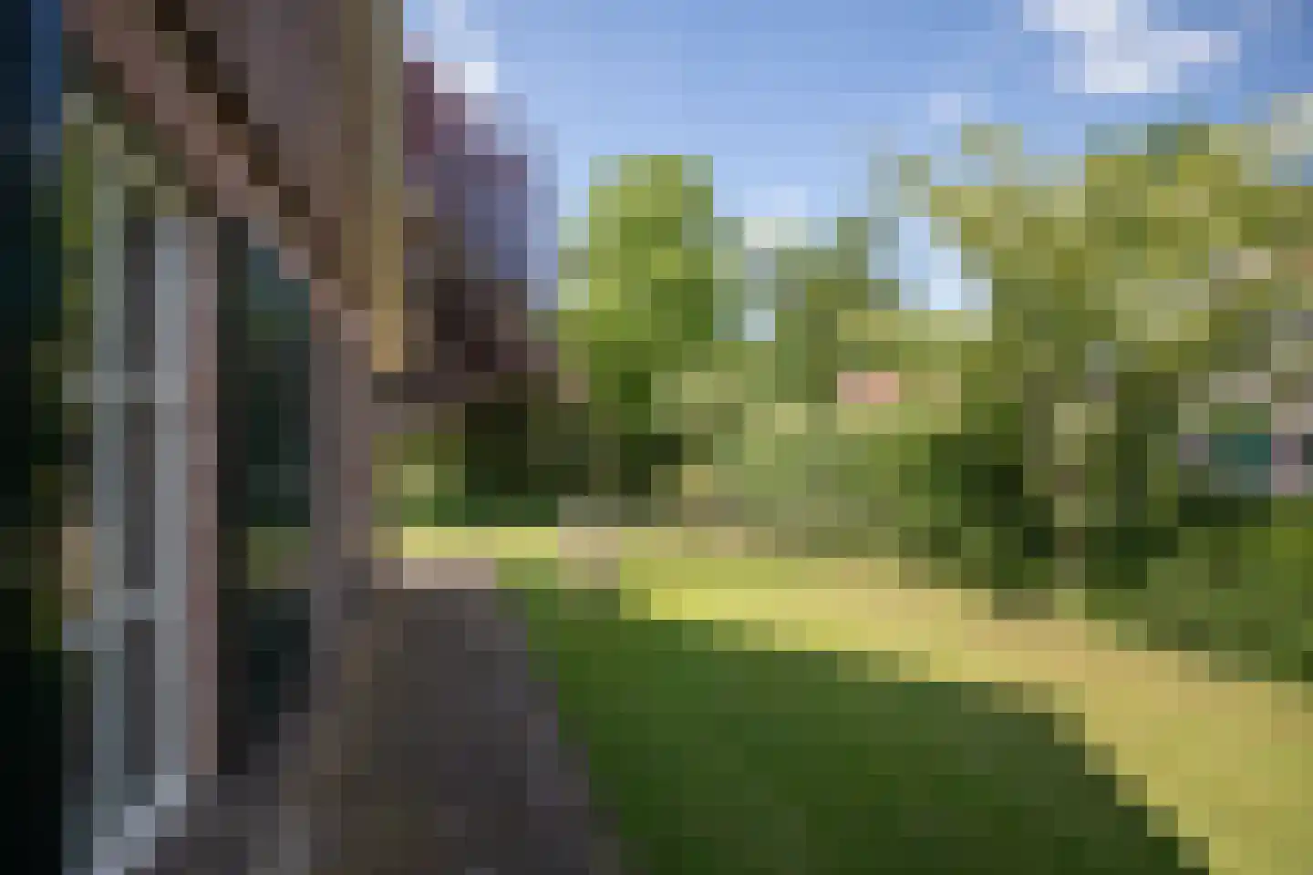 Boomsweg 1 ZH59 Hoge Hexel thumbnail 6