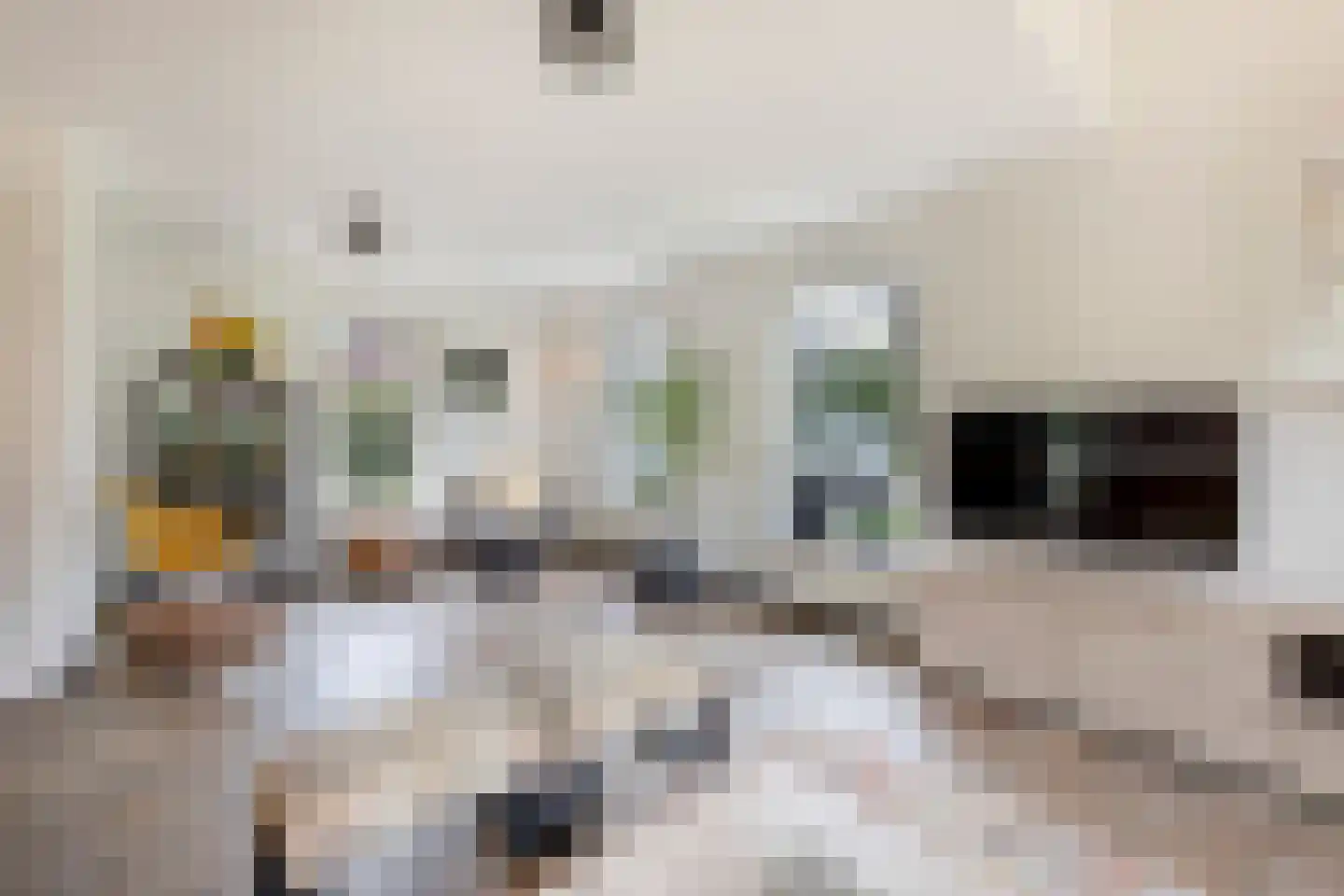 Boomsweg 1 ZH64 Hoge Hexel thumbnail 13