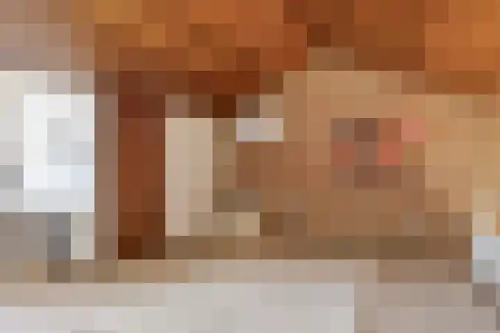 Boomsweg 1 ZH64 Hoge Hexel thumbnail 15