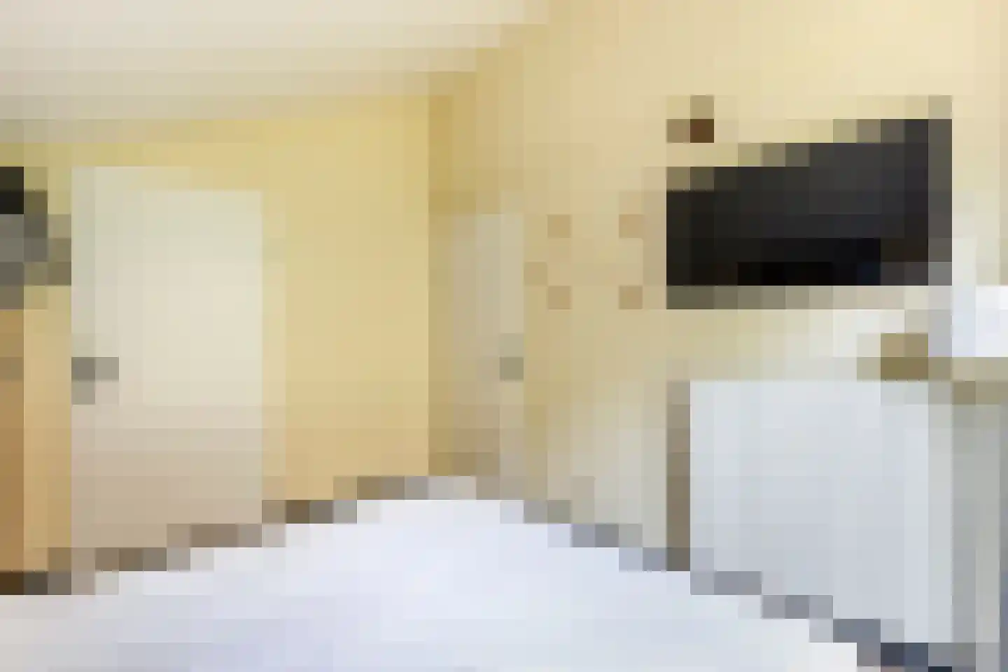 Boomsweg 1 ZH64 Hoge Hexel thumbnail 16