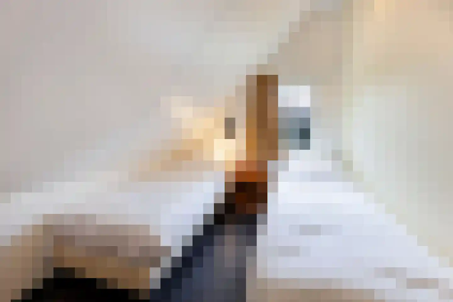 Boomsweg 1 ZH64 Hoge Hexel thumbnail 19