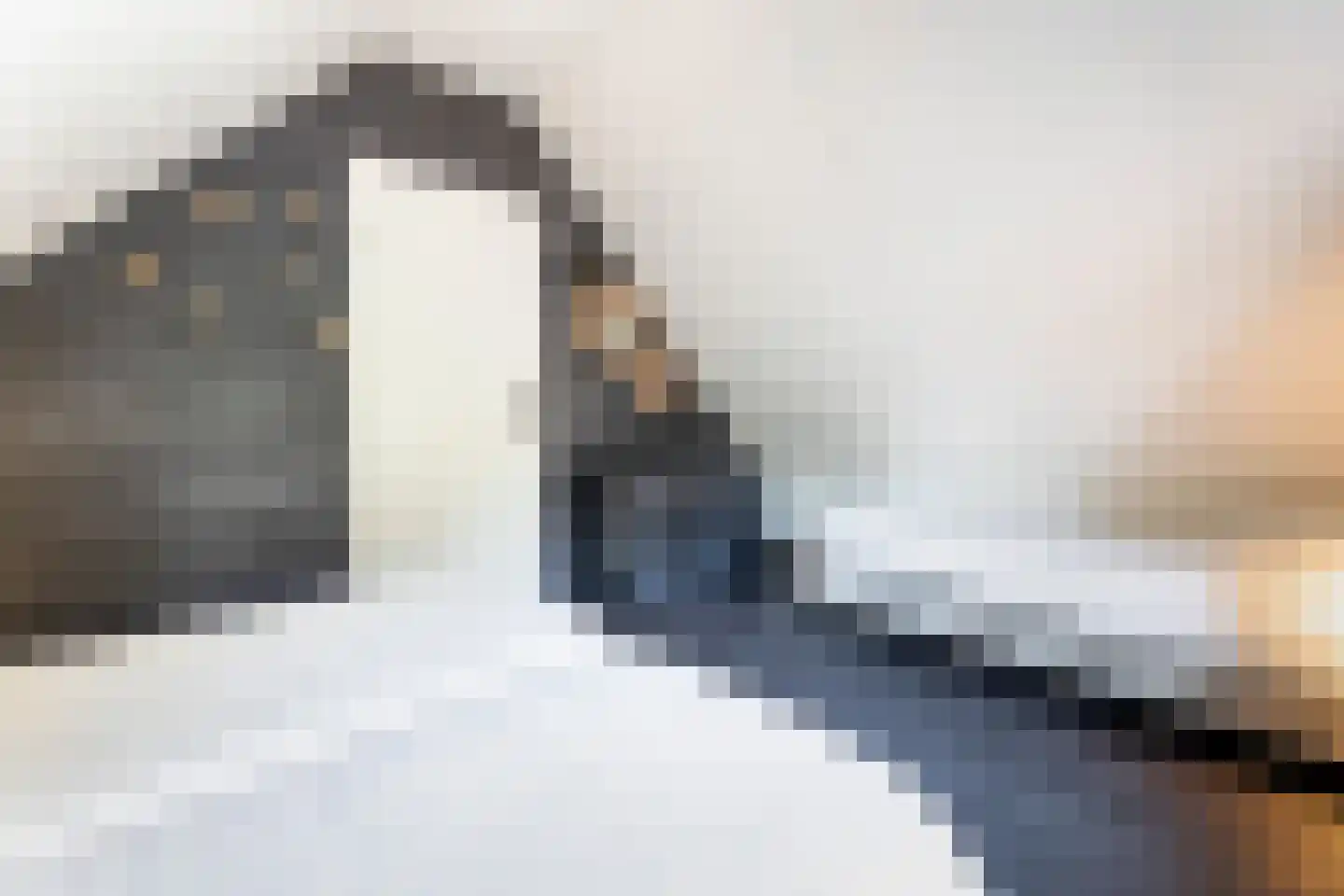 Boomsweg 1 ZH64 Hoge Hexel thumbnail 22