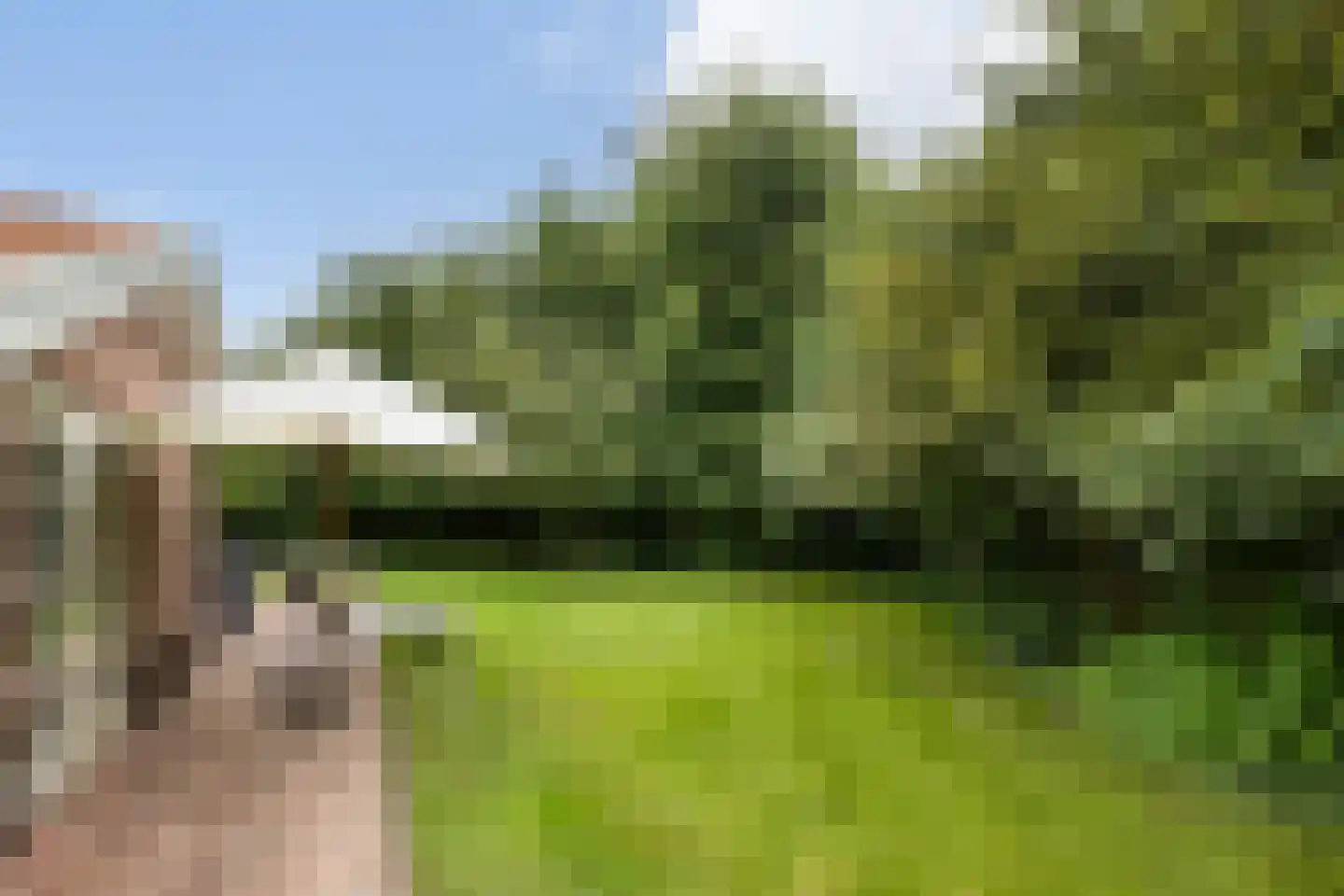 Boomsweg 1 ZH64 Hoge Hexel thumbnail 28