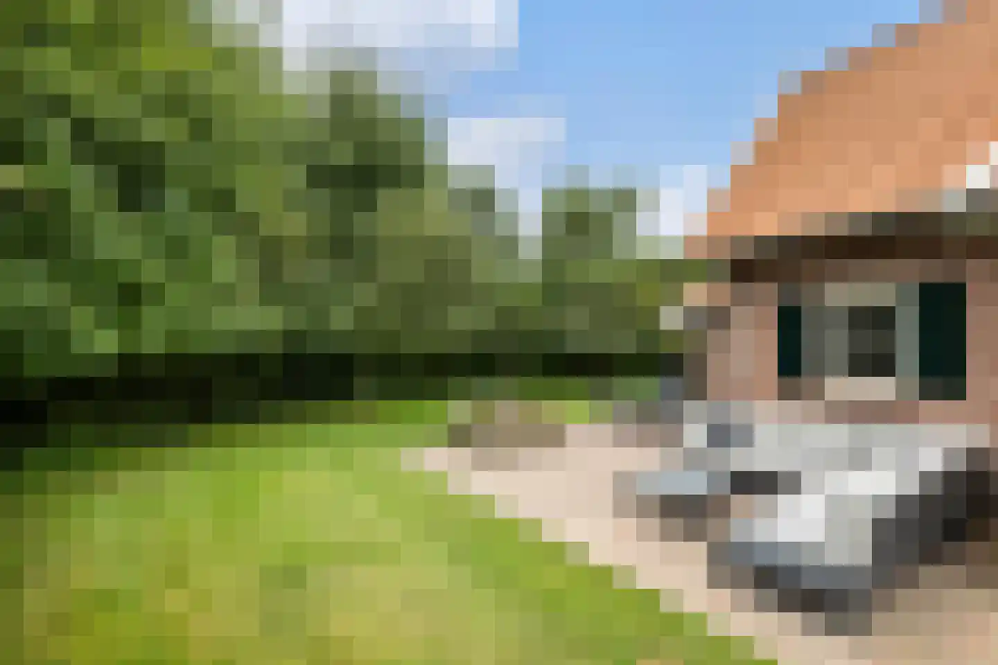 Boomsweg 1 ZH64 Hoge Hexel thumbnail 29