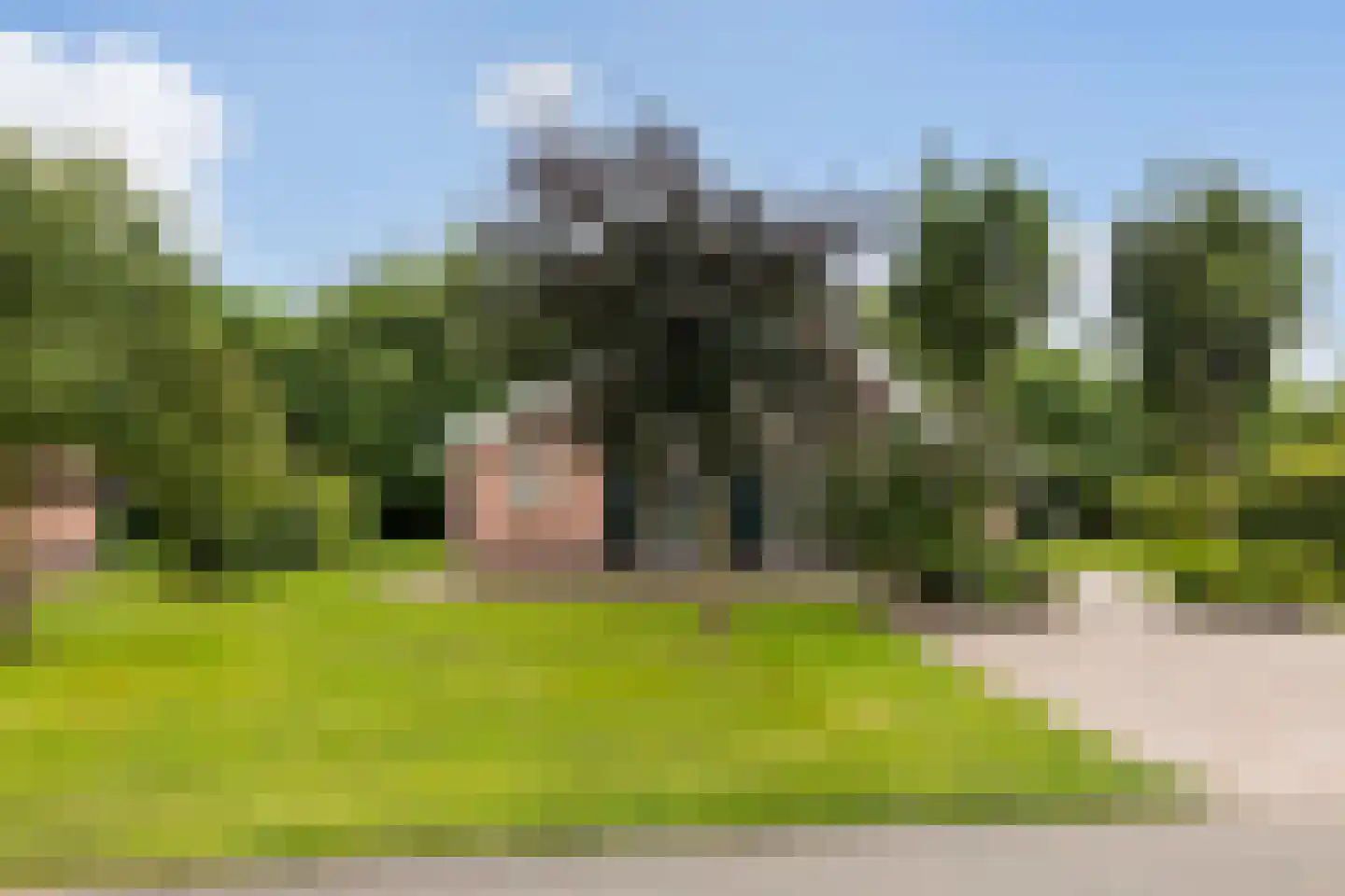 Boomsweg 1 ZH64 Hoge Hexel thumbnail 32