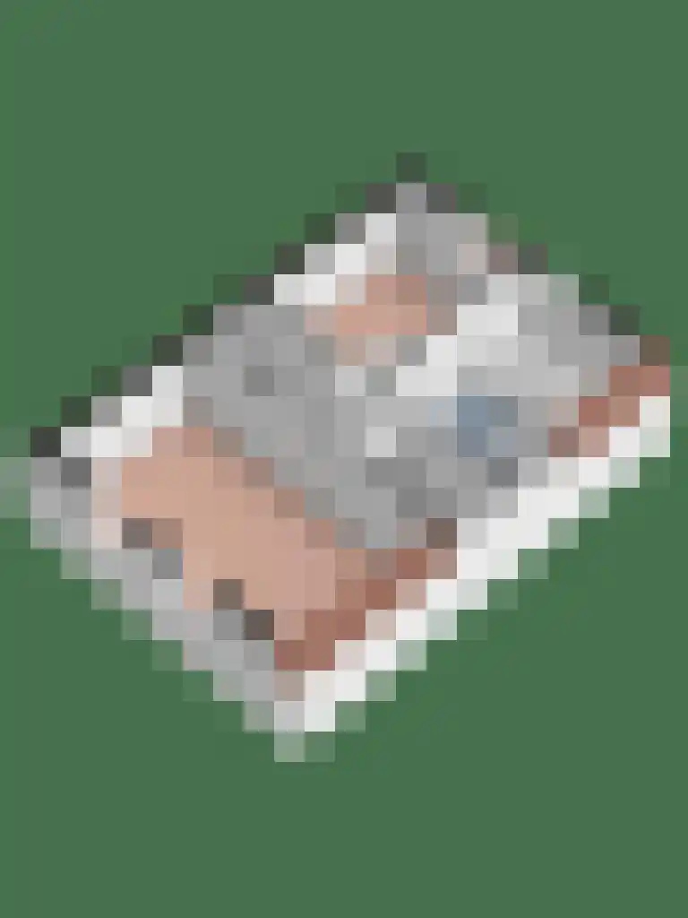Boomsweg 1 ZH64 Hoge Hexel thumbnail 35