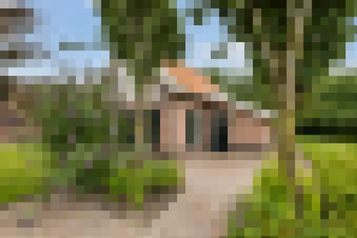 Boomsweg 1 ZH64 Hoge Hexel thumbnail 5