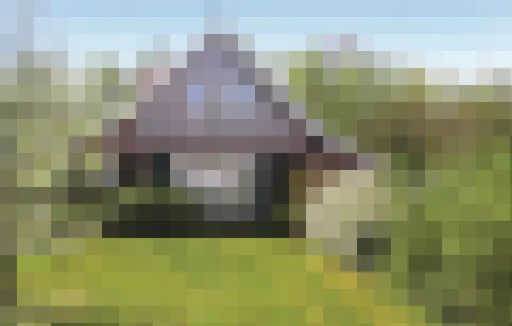 Boomsweg 1 ZH66 Hoge Hexel