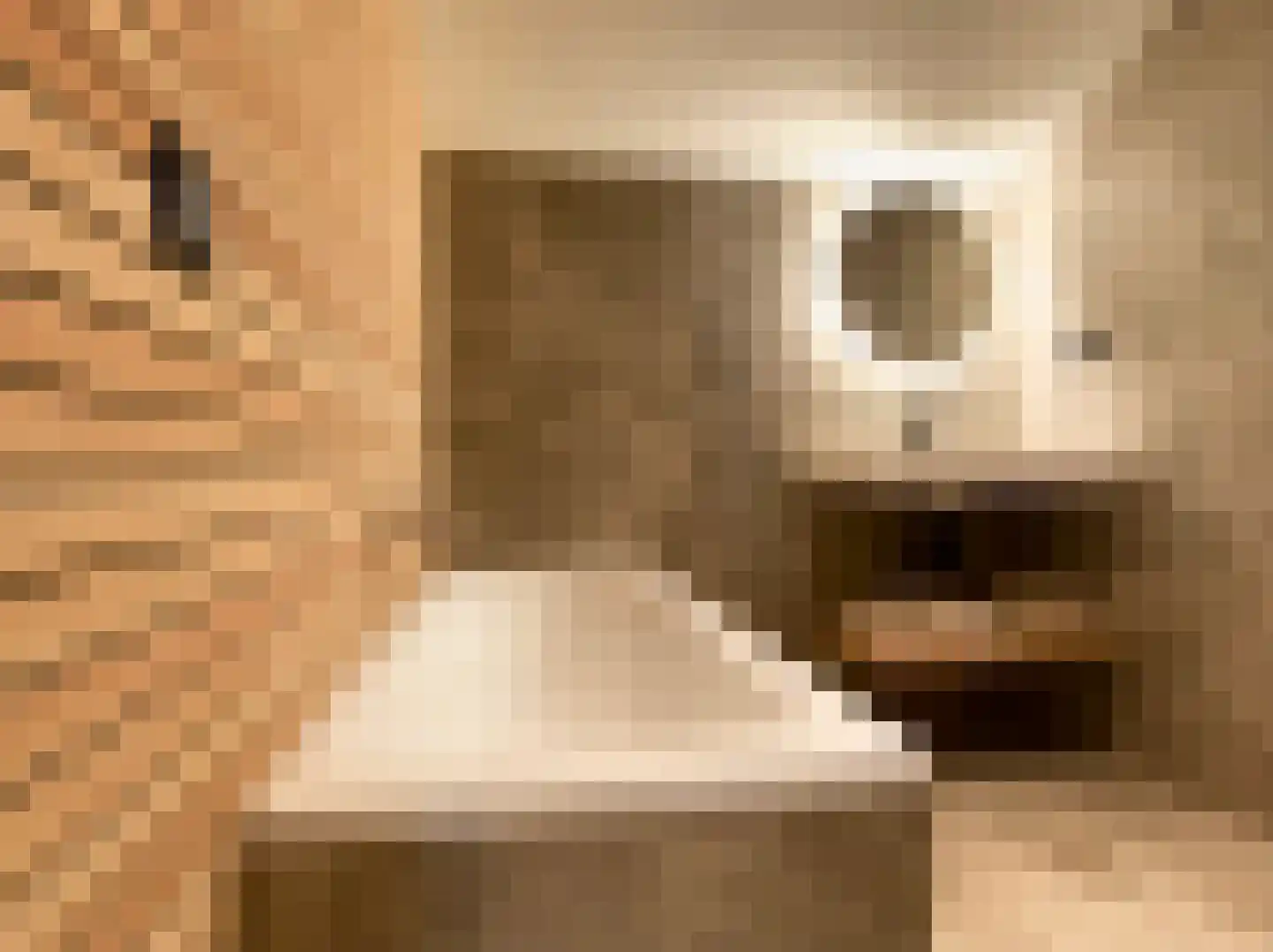 Boomsweg 1 ZH66 Hoge Hexel thumbnail 12