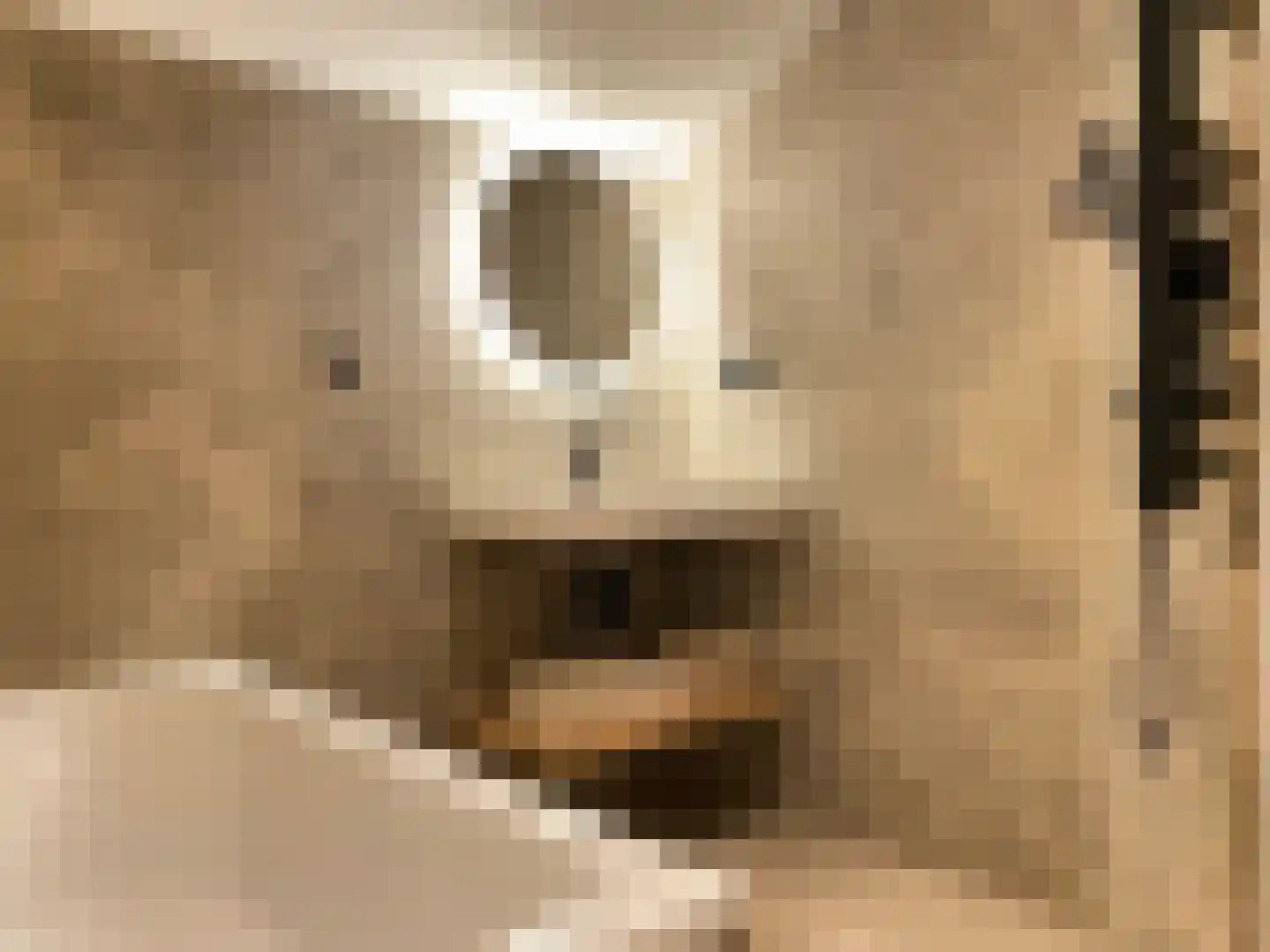 Boomsweg 1 ZH66 Hoge Hexel thumbnail 13