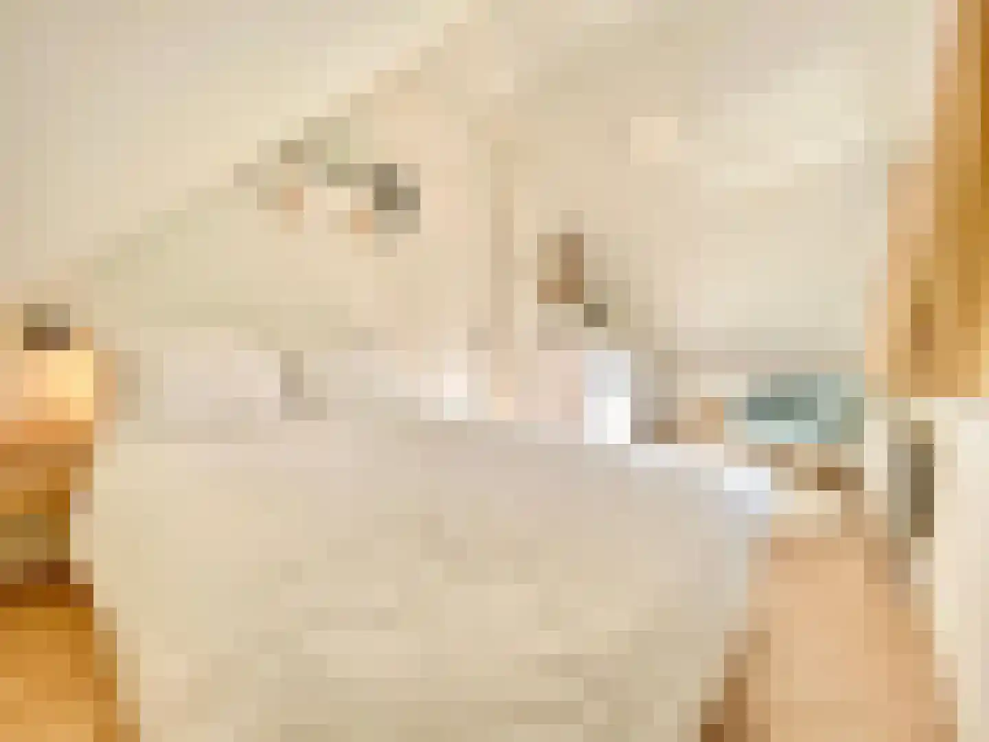 Boomsweg 1 ZH66 Hoge Hexel thumbnail 16