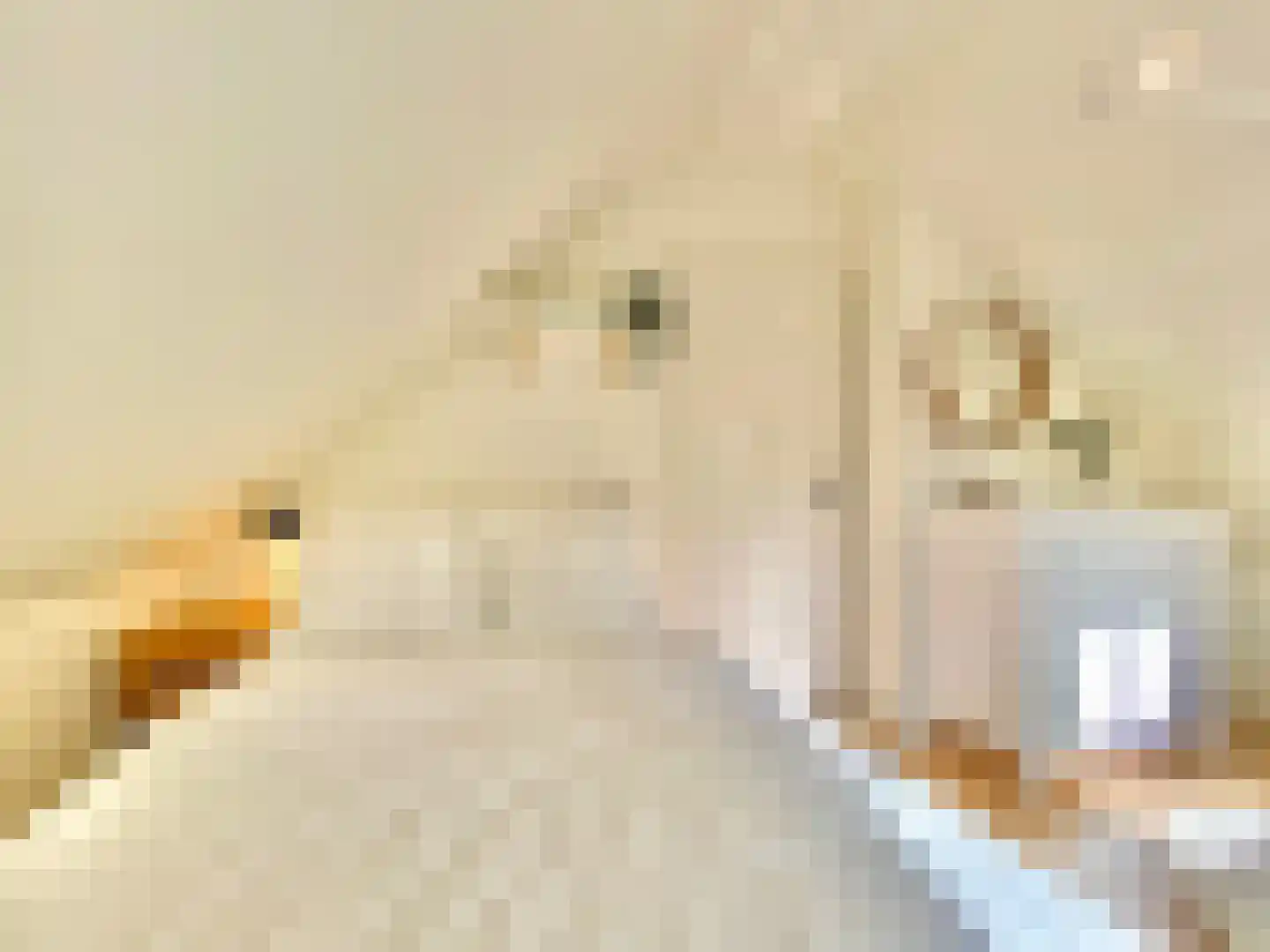 Boomsweg 1 ZH66 Hoge Hexel thumbnail 17