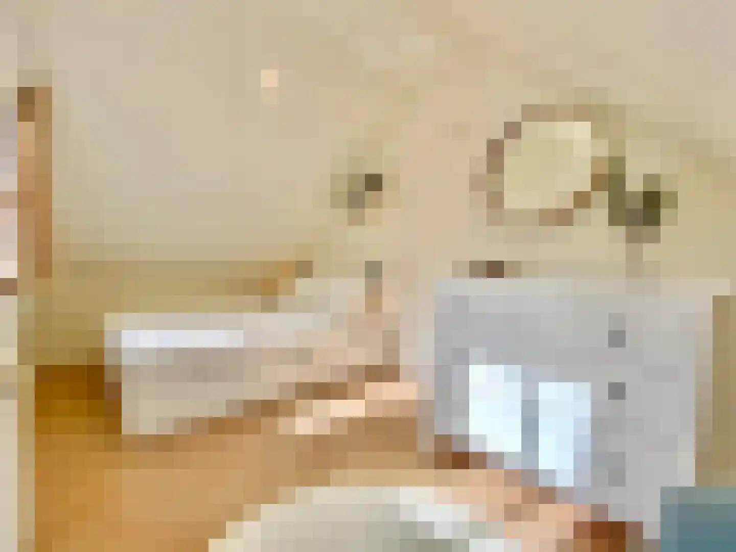 Boomsweg 1 ZH66 Hoge Hexel thumbnail 18