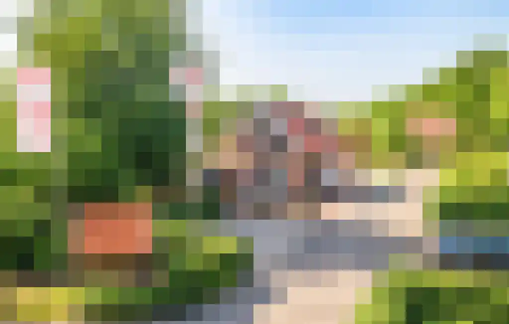 Boomsweg 1 ZH66 Hoge Hexel foto 2