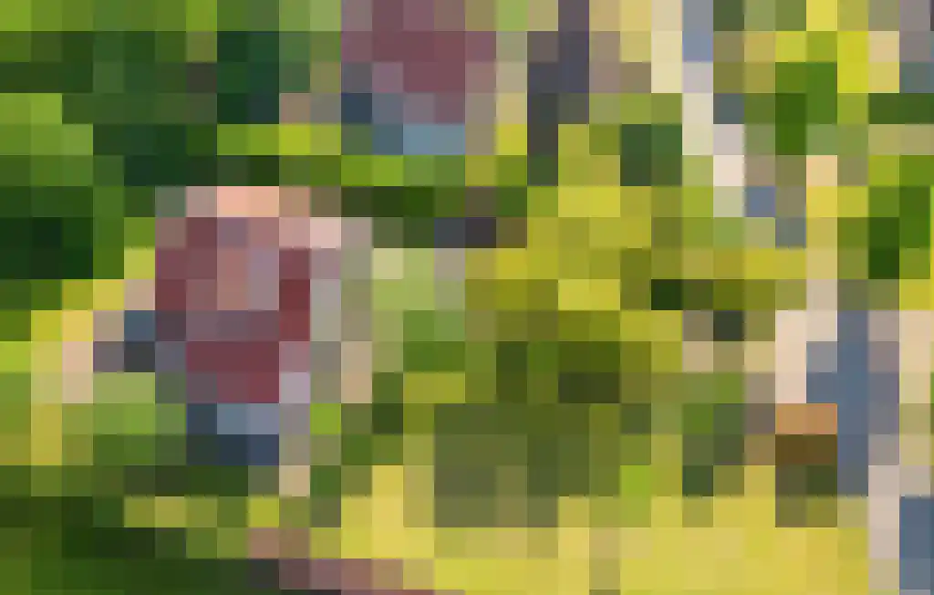Boomsweg 1 ZH66 Hoge Hexel foto 3