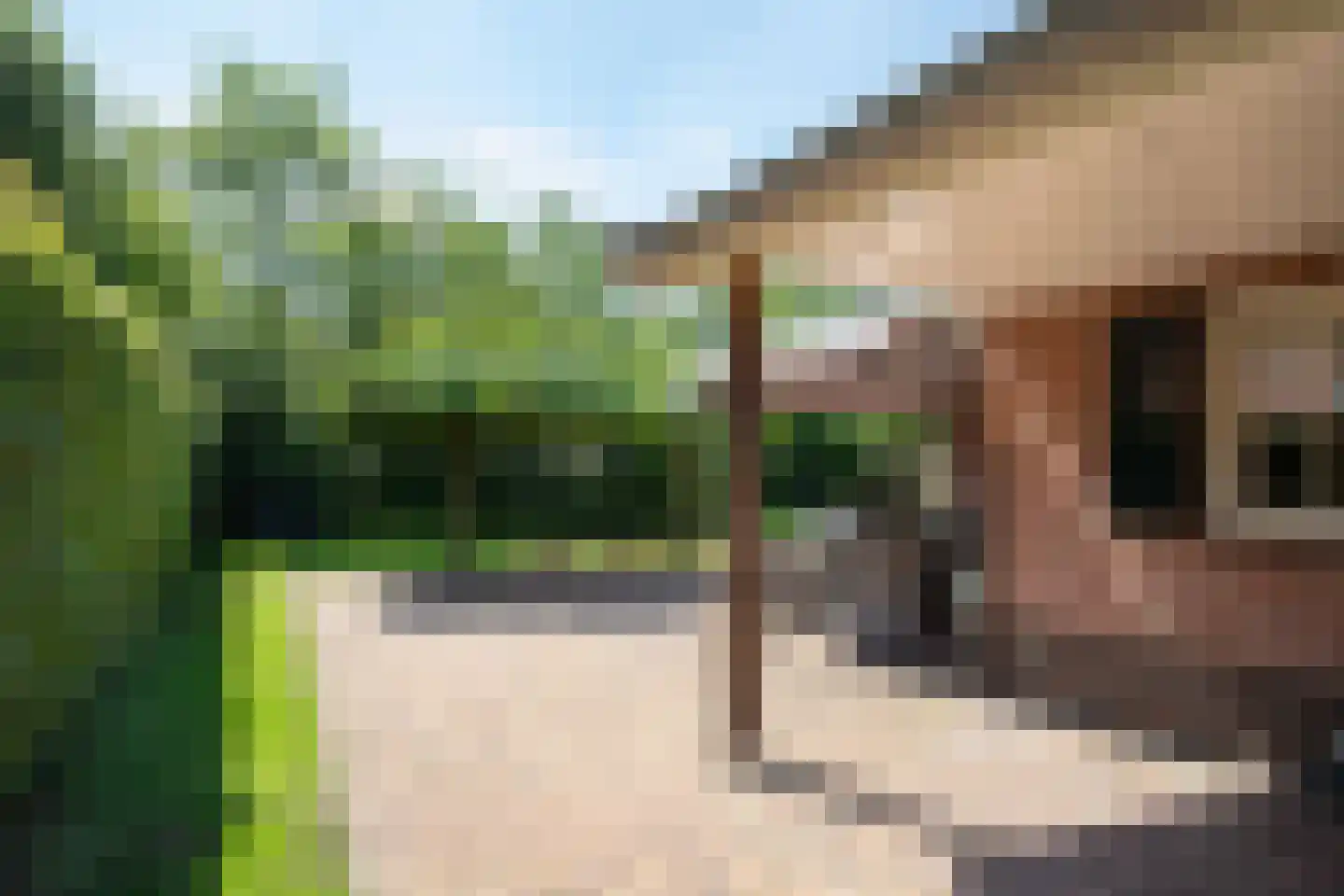 Boomsweg 1 ZH69 Hoge Hexel thumbnail 12