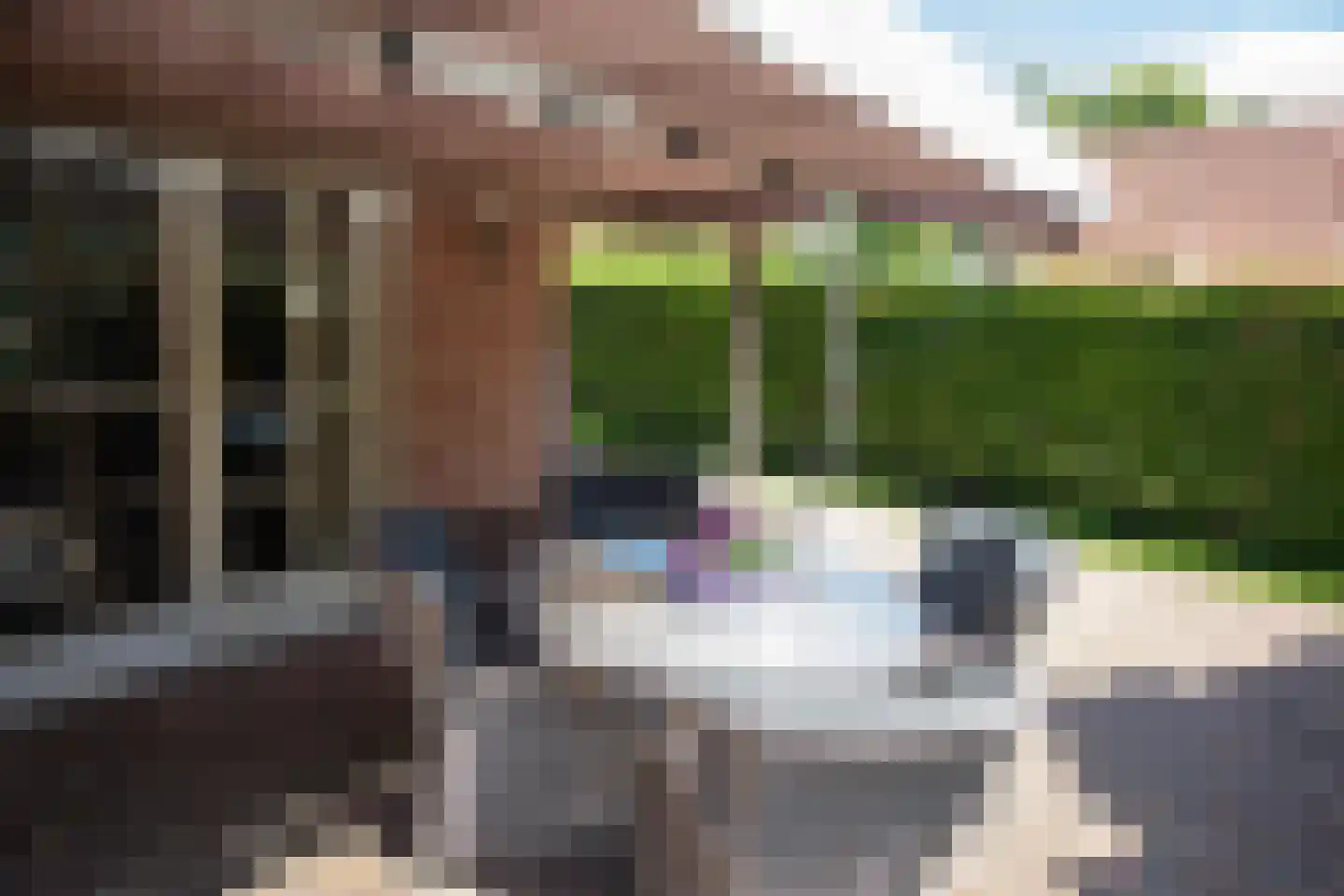 Boomsweg 1 ZH69 Hoge Hexel thumbnail 13