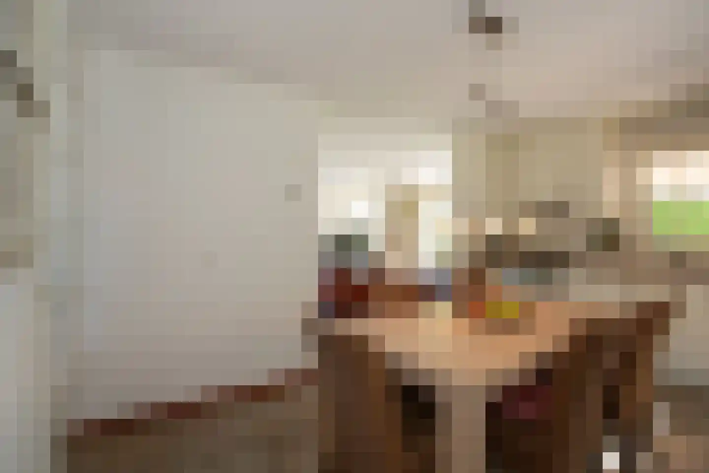 Boomsweg 1 ZH69 Hoge Hexel thumbnail 21