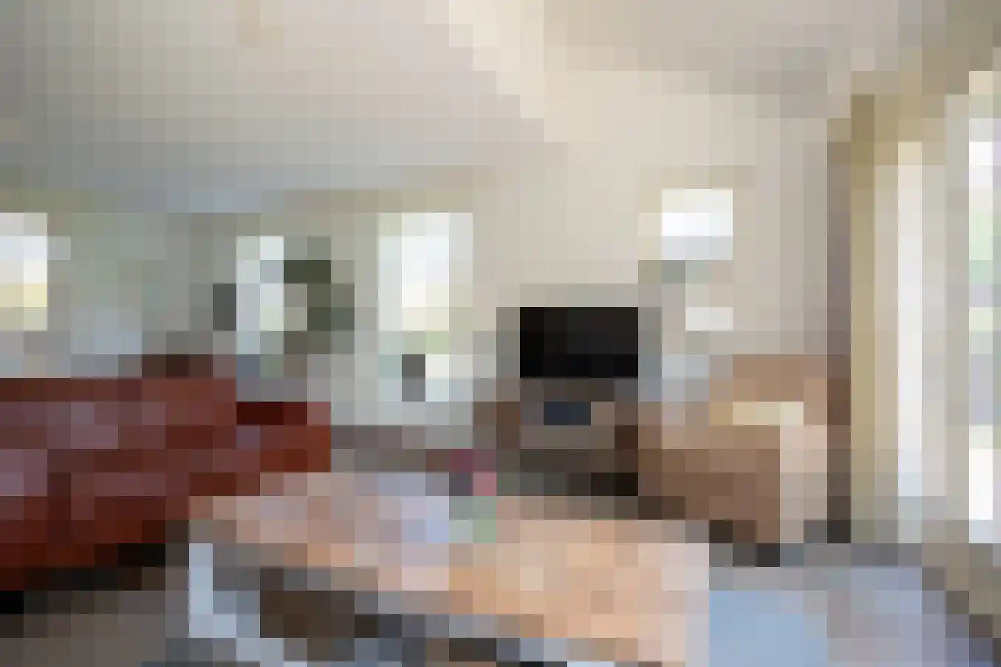 Boomsweg 1 ZH69 Hoge Hexel thumbnail 29