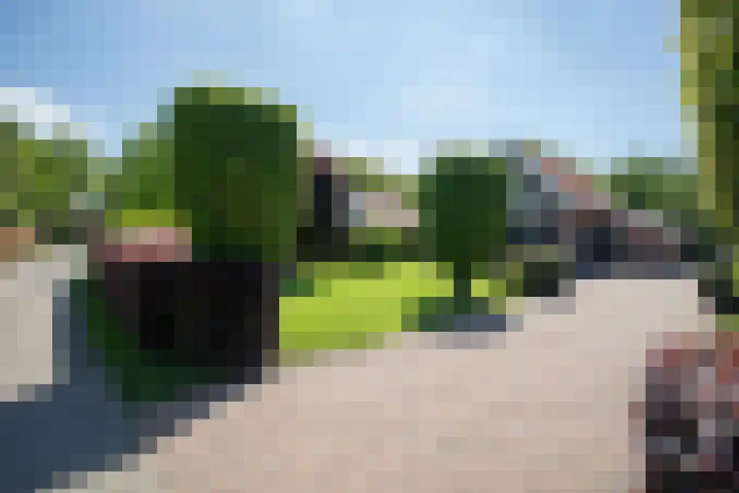Boomsweg 1 ZH69 Hoge Hexel foto 3