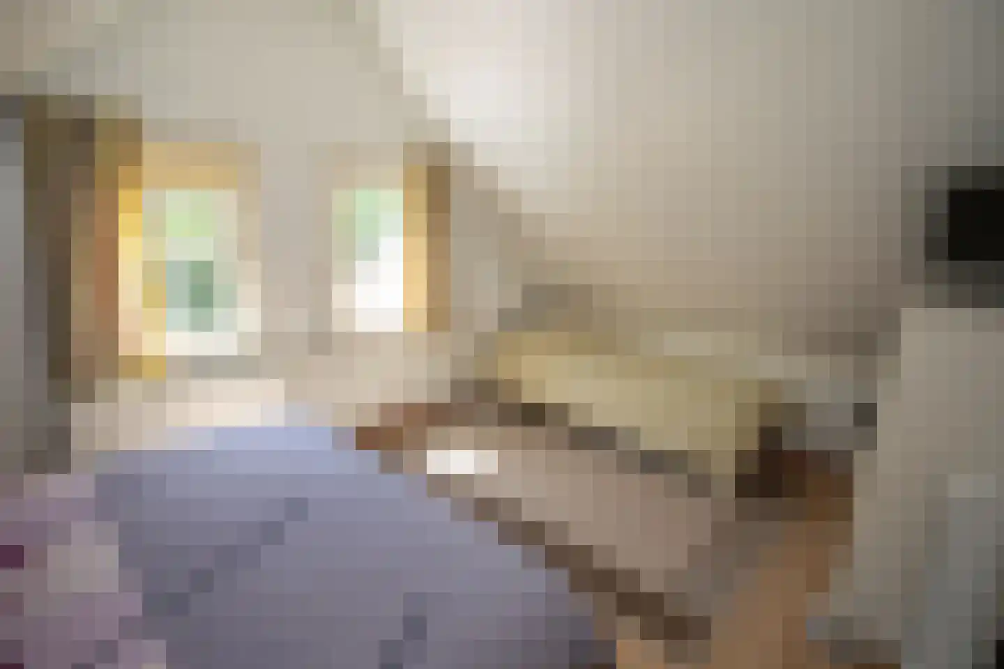 Boomsweg 1 ZH69 Hoge Hexel thumbnail 38