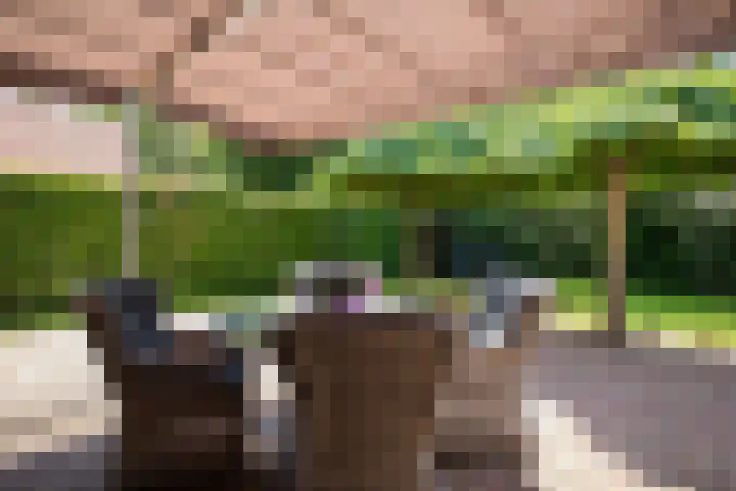 Boomsweg 1 ZH69 Hoge Hexel thumbnail 7