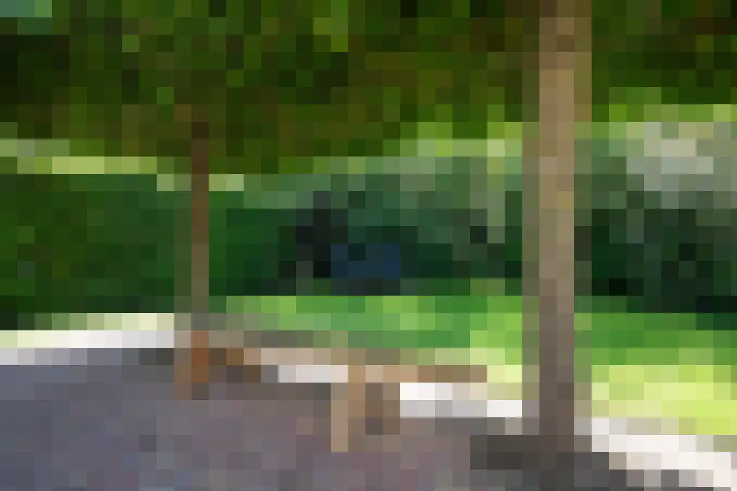 Boomsweg 1 ZH69 Hoge Hexel thumbnail 8