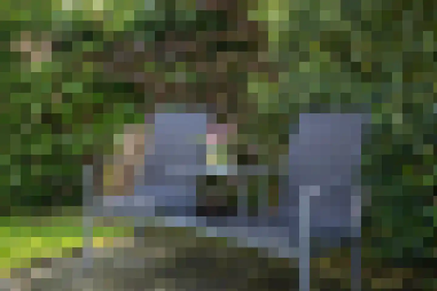 Boomsweg 1 ZH69 Hoge Hexel thumbnail 9