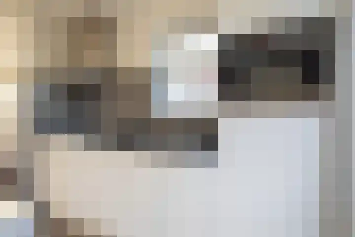 Boomsweg 1 ZH83 Hoge Hexel thumbnail 12