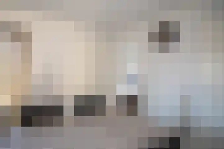 Boomsweg 1 ZH83 Hoge Hexel thumbnail 15